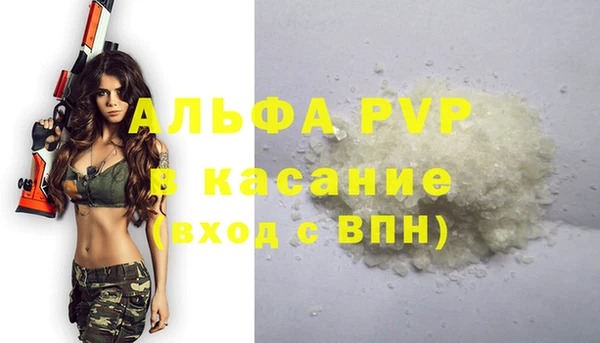 ПСИЛОЦИБИНОВЫЕ ГРИБЫ Карталы