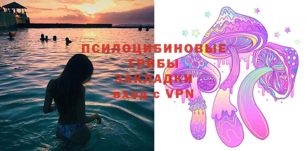 ПСИЛОЦИБИНОВЫЕ ГРИБЫ Карталы