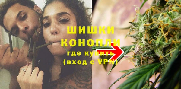 ПСИЛОЦИБИНОВЫЕ ГРИБЫ Карталы