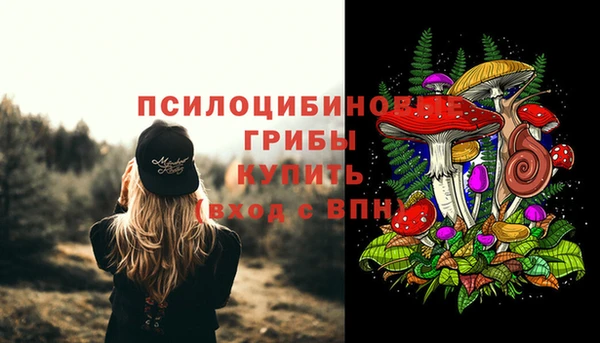 ПСИЛОЦИБИНОВЫЕ ГРИБЫ Карталы