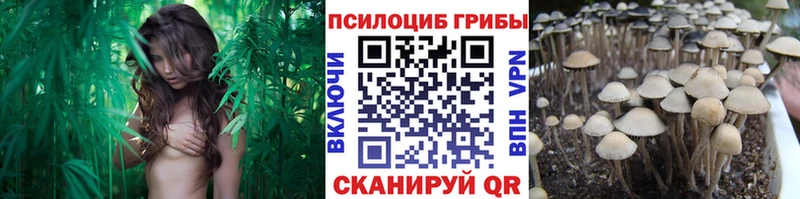 Купить  Губкинский  Галлюциногенные грибы мухоморы 