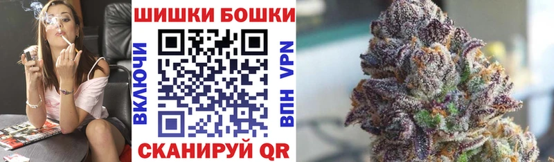 Бошки Шишки планчик  Купить где  Губкинский 